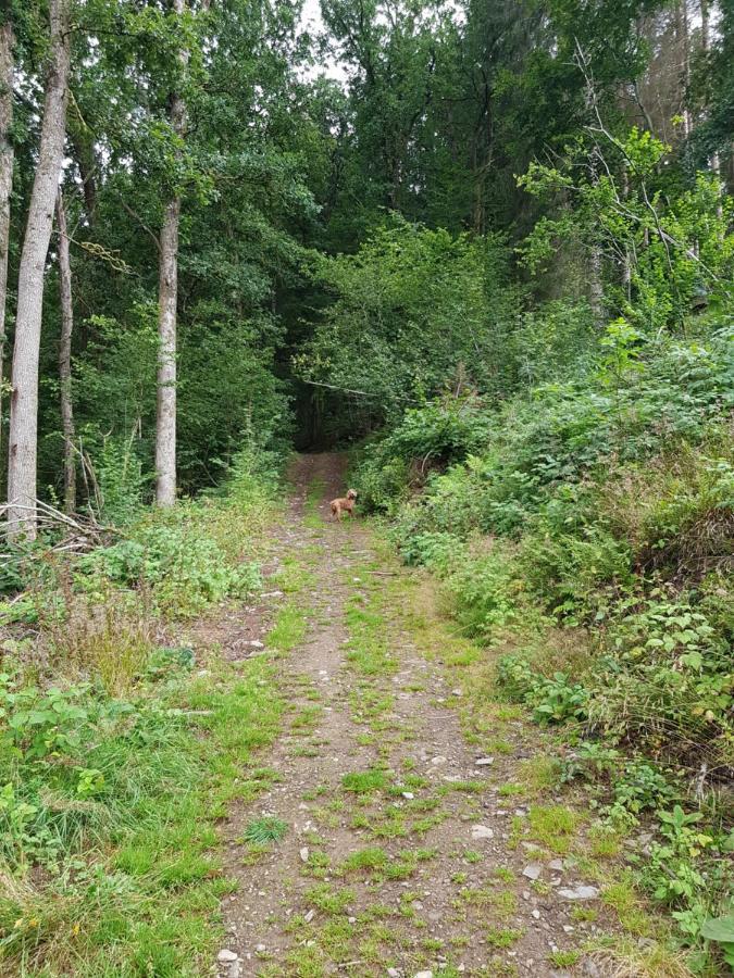 La Petite Romantique Martelange Buitenkant foto