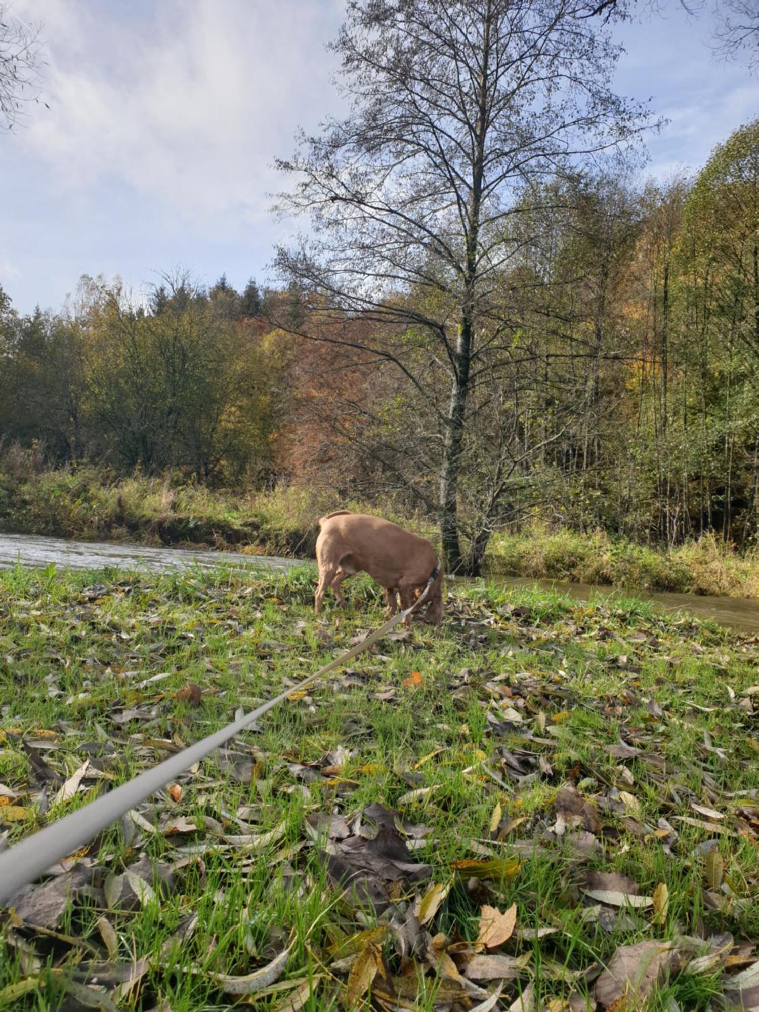 La Petite Romantique Martelange Buitenkant foto